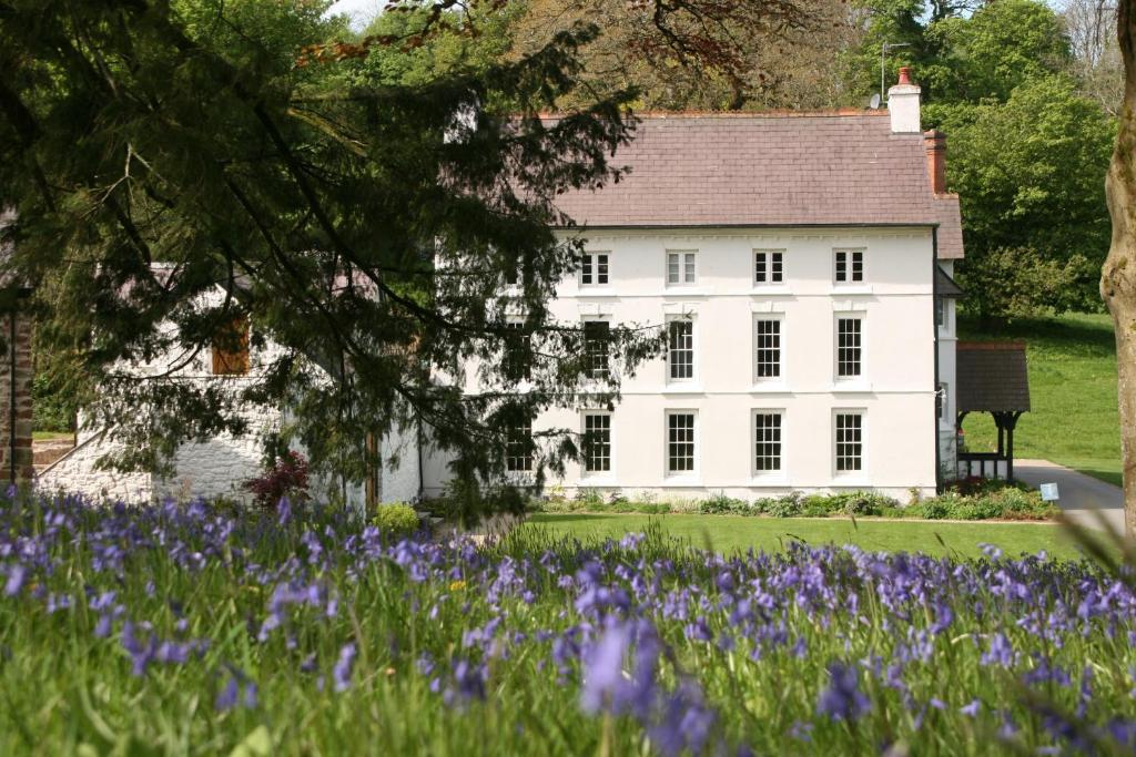 Hotel Grove Of Narberth Exterior foto
